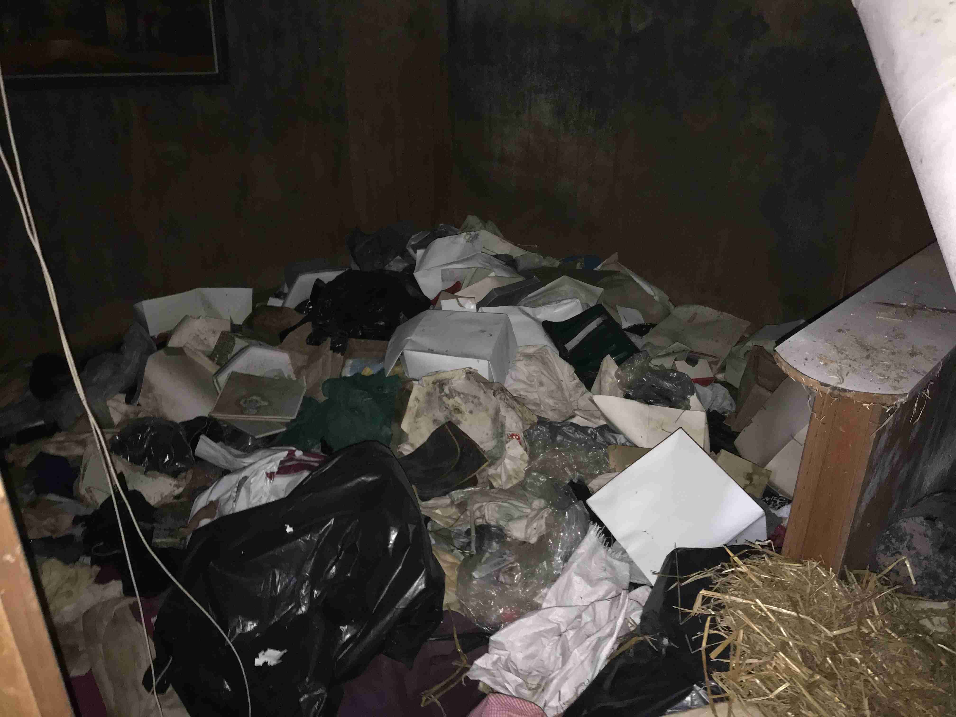 Photo Sep 09, 5 41 32 PM.jpg